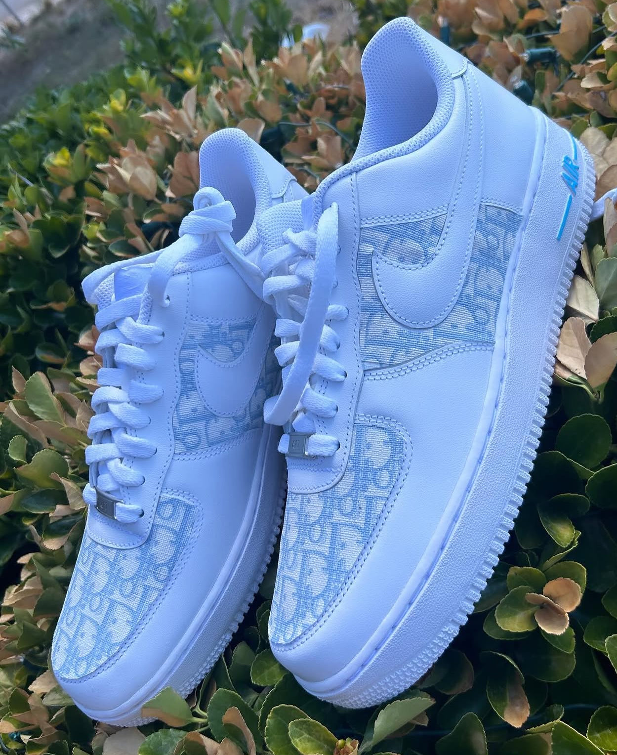 Custom Dior Af1